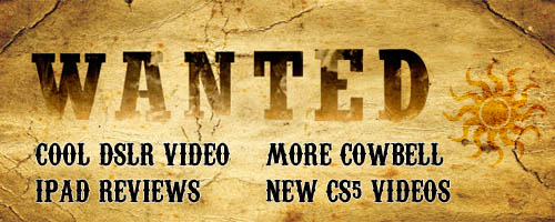 Wanted Poster Wild West