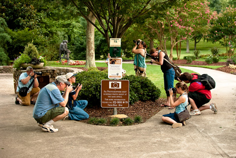 Greensboro NC (Bicentennial Gardens - Evan Brennansm