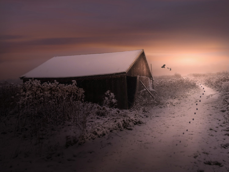 Winter on the farm-Meagan V Blazier