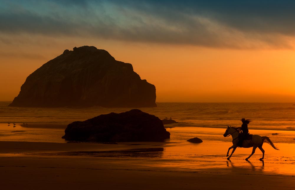 Horse Silhouette at Sunset on Bandon Beach